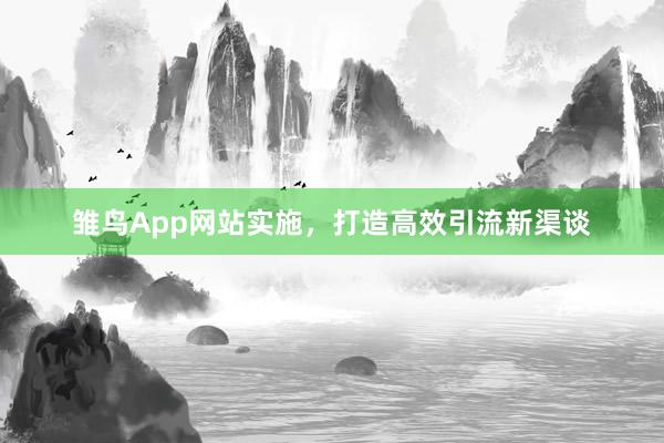 雏鸟App网站实施,打造高效引流新渠谈