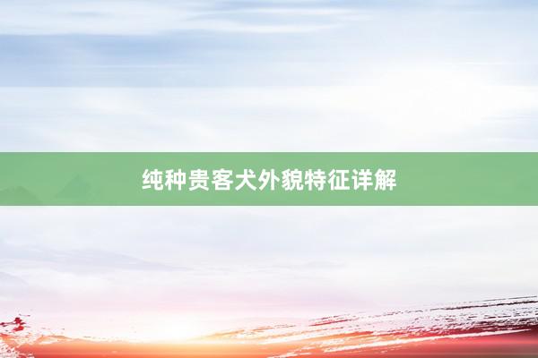 纯种贵客犬外貌特征详解